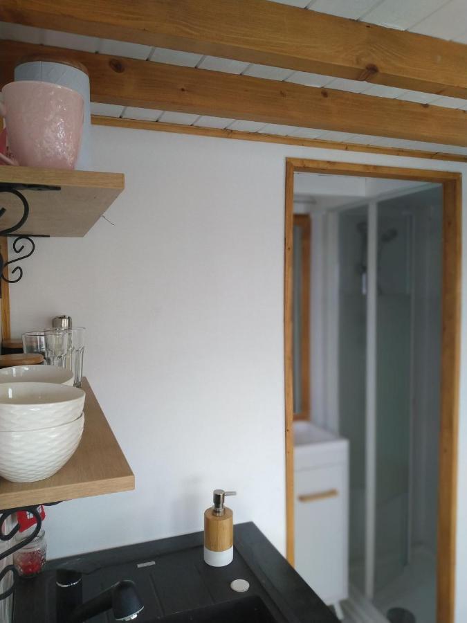 فيلا Tiny House Cluj With Jacuzzi Sinnicoara المظهر الخارجي الصورة