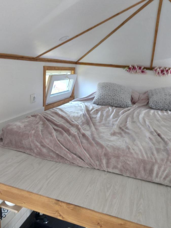 فيلا Tiny House Cluj With Jacuzzi Sinnicoara المظهر الخارجي الصورة